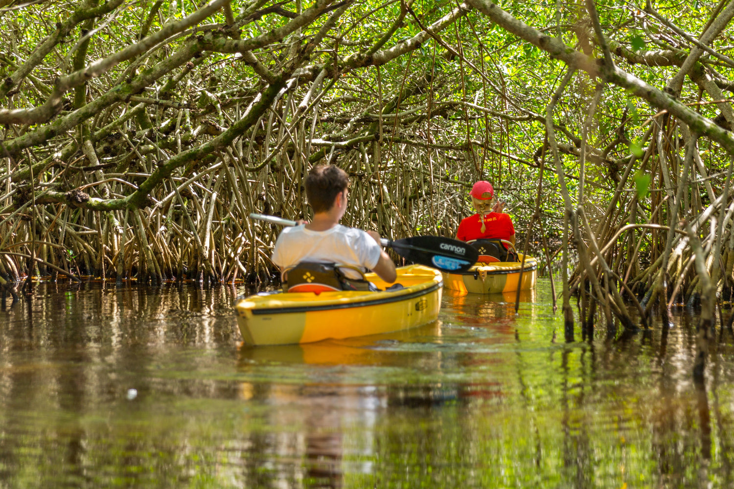 Paddlesport Gear in South Florida | The Mobile Mariner